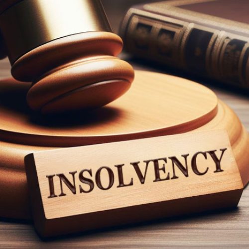 What Do Insolvency Lawyers Do? A Practical Guide for Business Owners